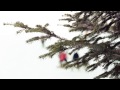 An Andrenaline-Filled Ski Vacation in Bansko