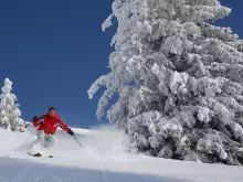 Cup races in Bansko Pirin