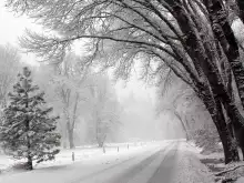 Bansko welcomes Winter