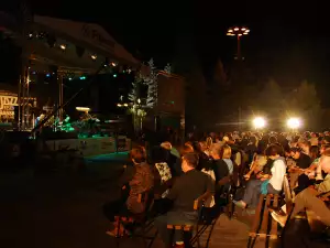 Джаз Фест Банско - Picture В очакване на следващите изпълнители