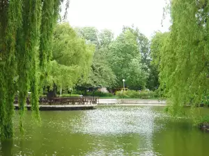 Разлог - Picture Езерцето в градинката в Разлог