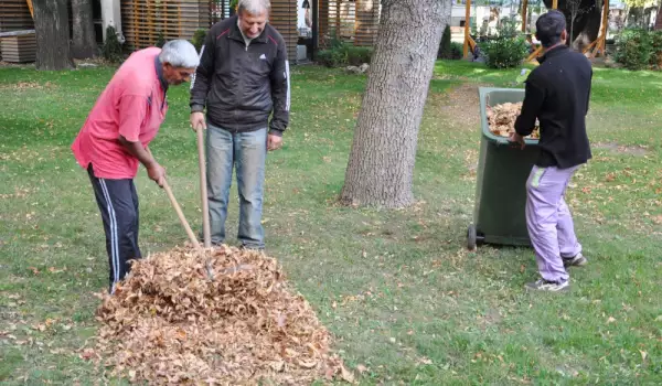 Razlog Cleaning